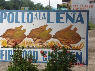 Pollo1