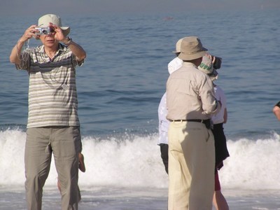 tourists