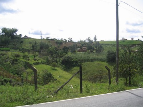 scene2