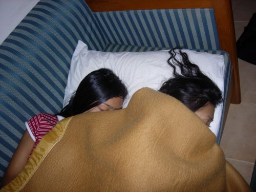 Misty sleepers