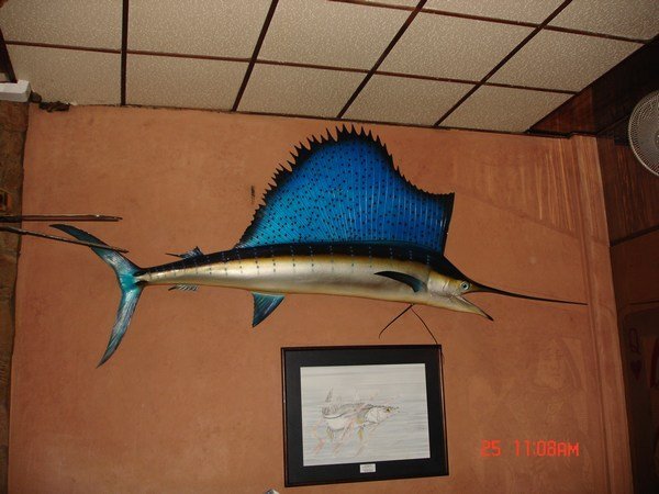 Swordfish1