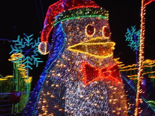 Christmas Lights 1