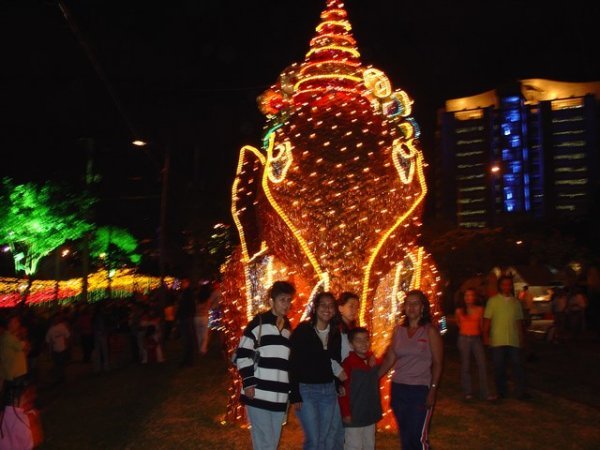 Christmas Lights 3