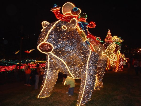 Christmas Lights 4