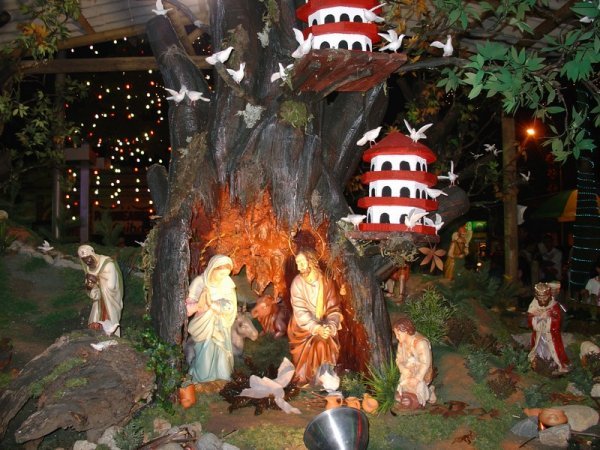Medellin Chiristmas 3
