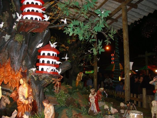 Medellin Chiristmas 4