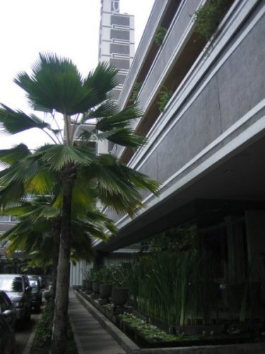 Savoy Homann Hotel's Art Deco "Funnel of Ship"
