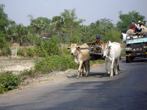 Green feul vehicle