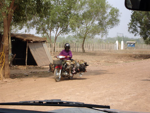Motorcycle Transport