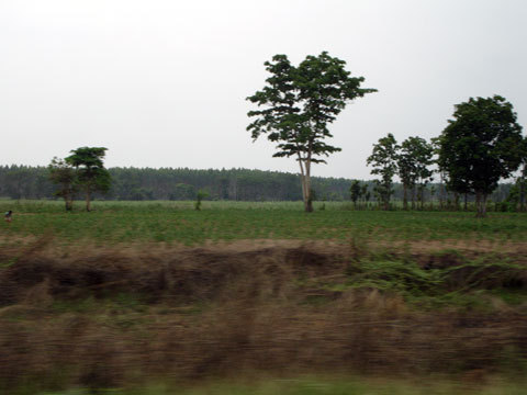 countryside