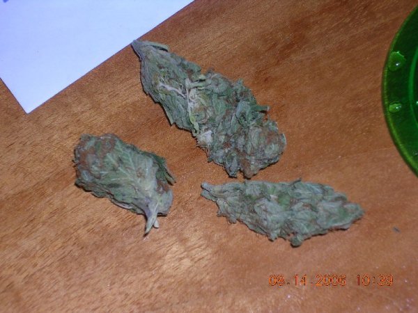 BUD