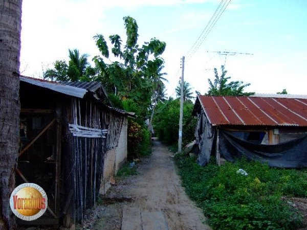 Village 1