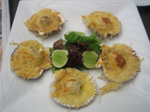 TANTA SCALLOPS