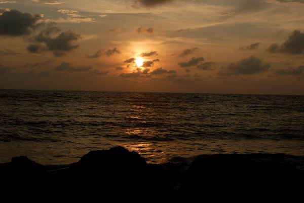 -My Image-
