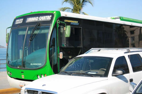 bus