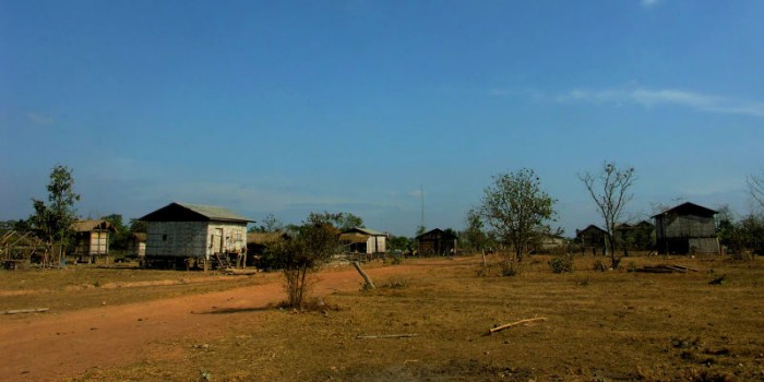PICT8855b