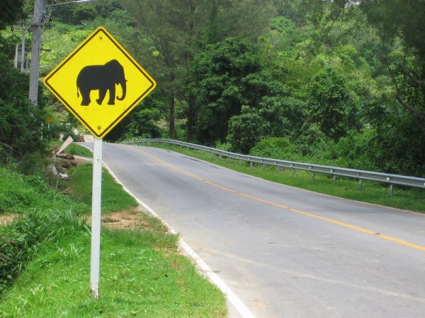 crossing