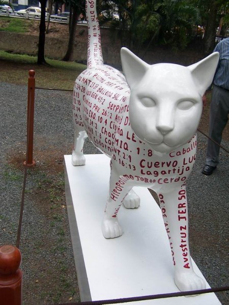 cats
