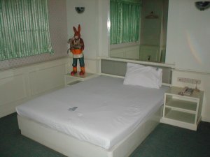 Bed