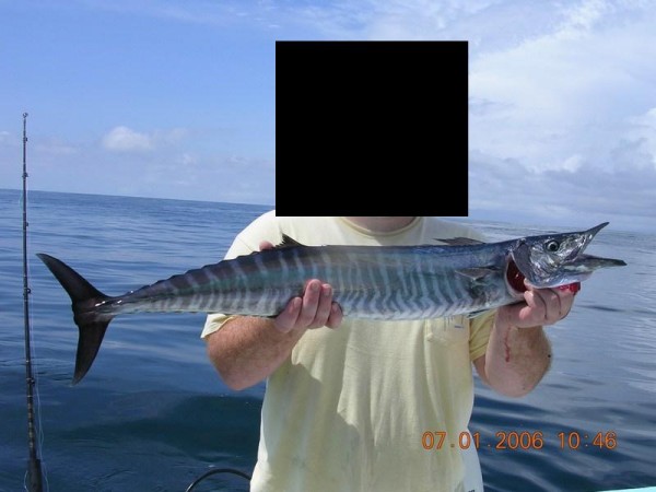 fish1