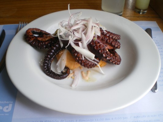 LA RED PULPO