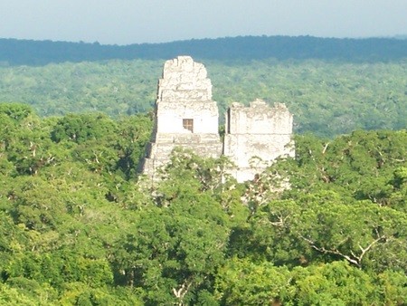 tikal2