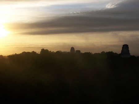 tikal8