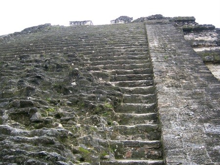 tikal11