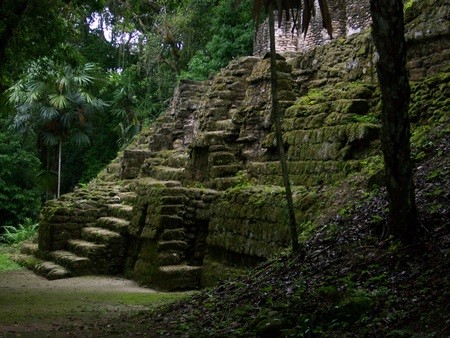 tikal12
