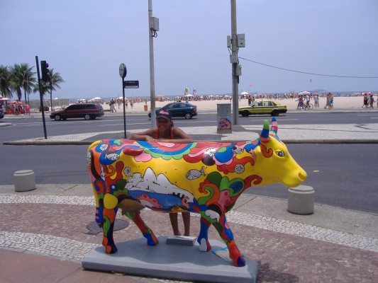 Bull3