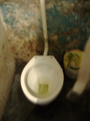 toilet
