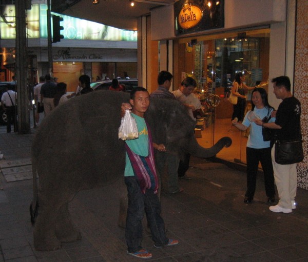 hefty gal on Sukhumvit