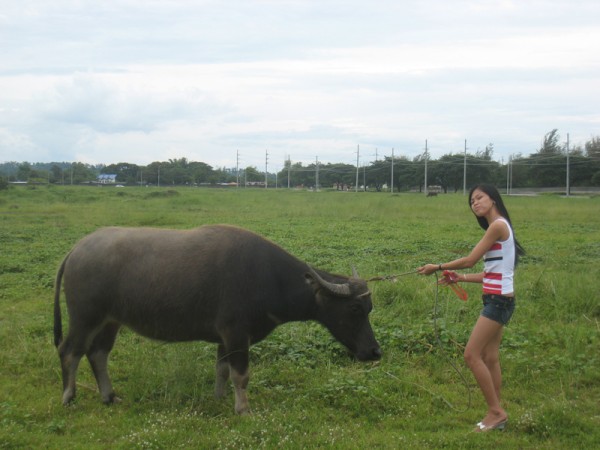 Madalyn have sick Buffalo