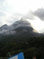fog at the top