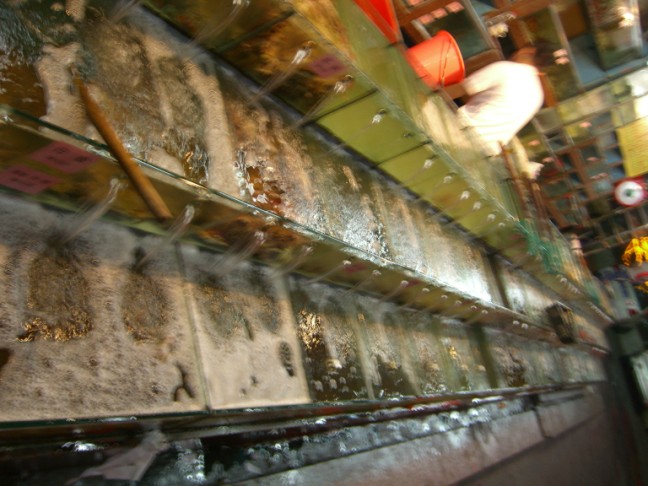 Huge selection of fresh seafood