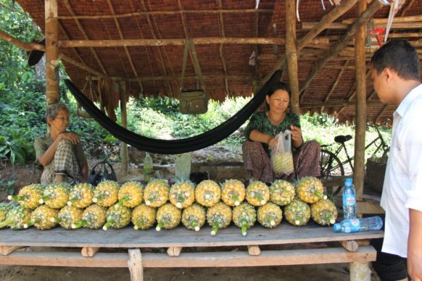 pineapple