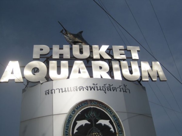 aqurium