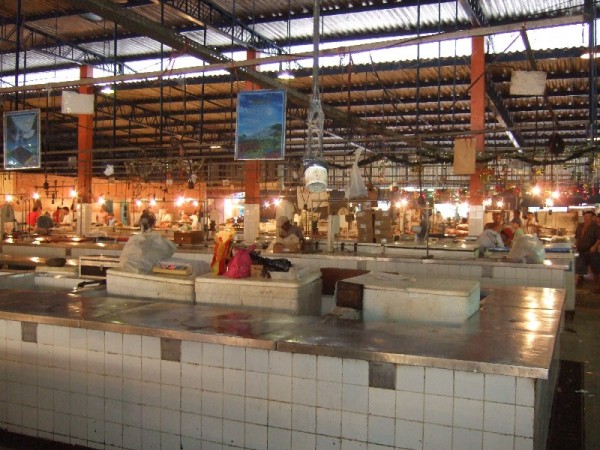 fish market