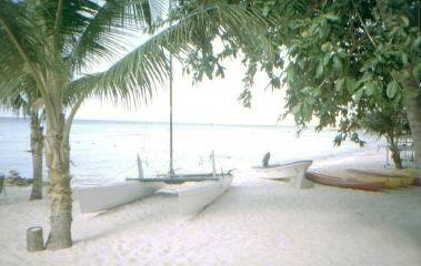 beach.jpg