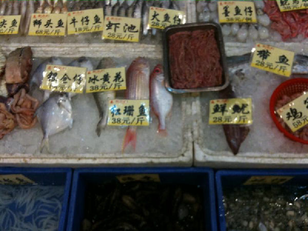 Seafood4