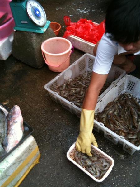 Seafood5