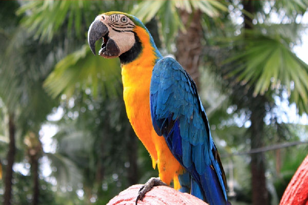 zoo4