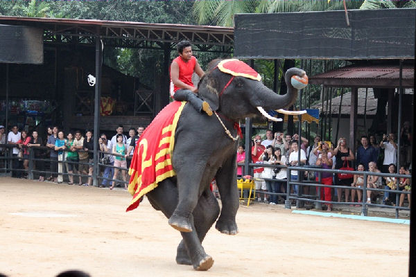 zoo6
