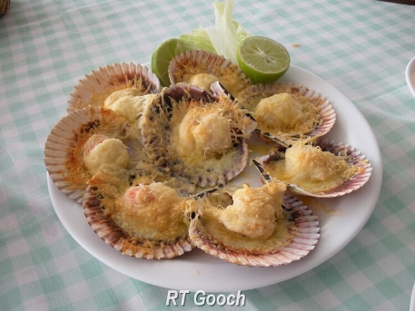 conchas