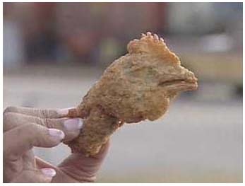 nugget