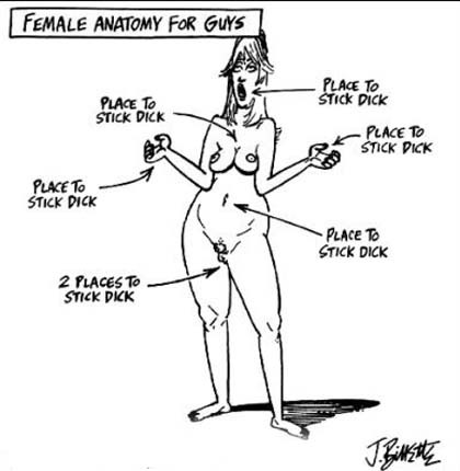 anatomy