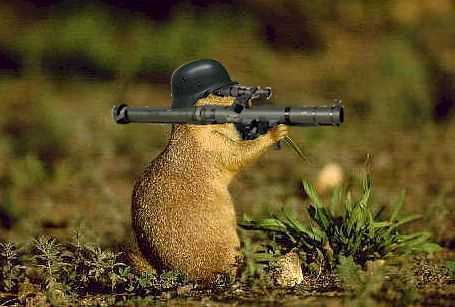 Canadian Infantry