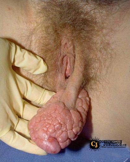 sg pussy