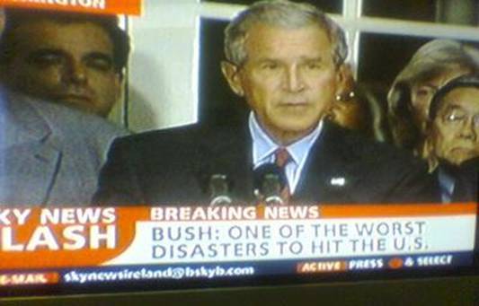 Bush