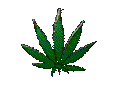 bud